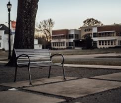 picture of bench by sidewalk